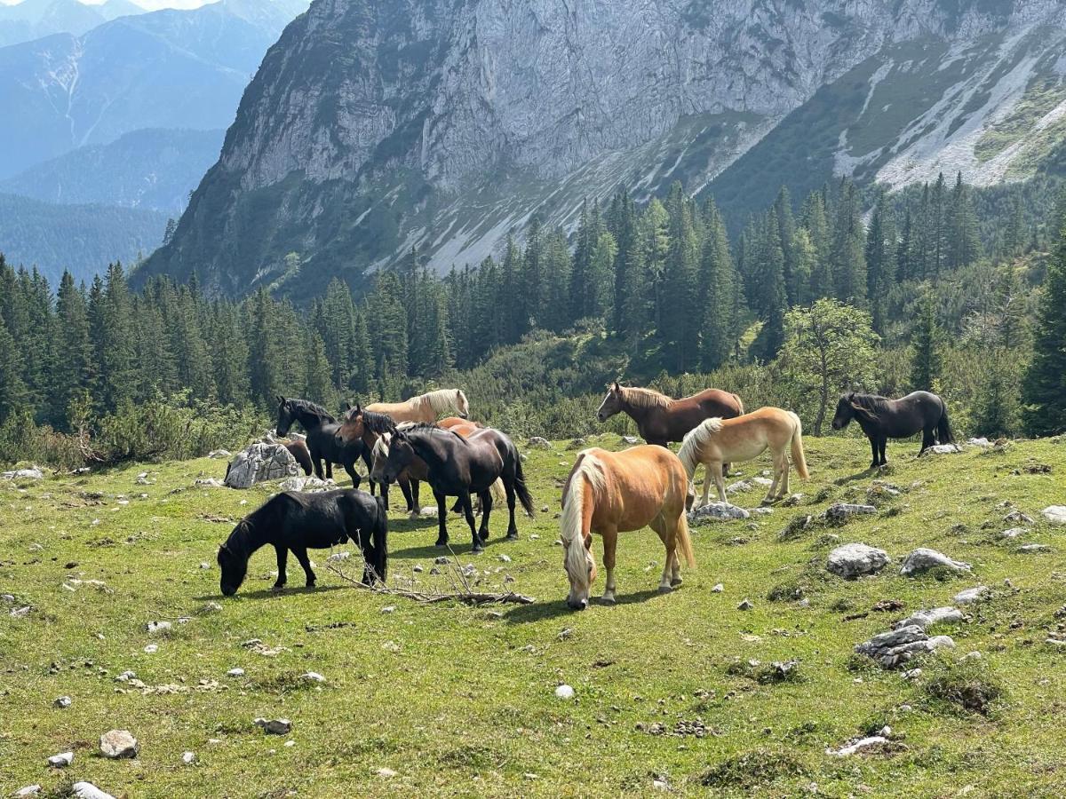 Europarcs Leutasch-Seefeld Otel Dış mekan fotoğraf
