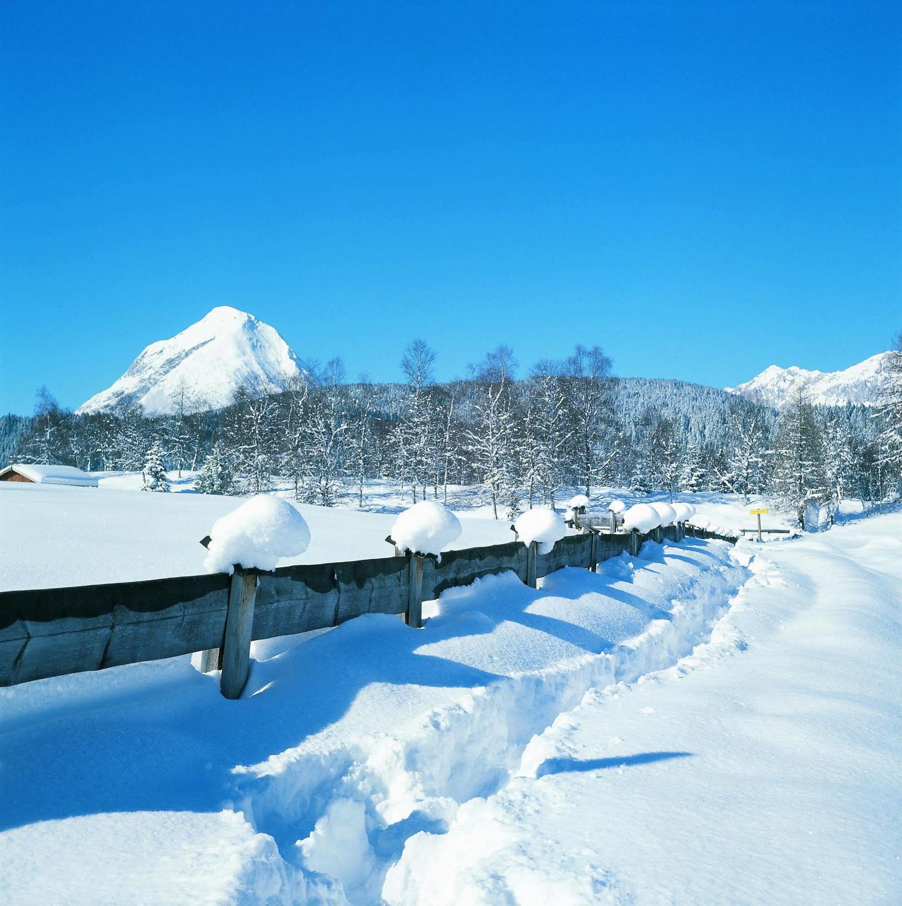 Europarcs Leutasch-Seefeld Otel Dış mekan fotoğraf
